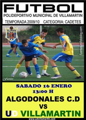 UD VILLAMARTIN - UD ALGODONALES. SABADO 16 13:00 H